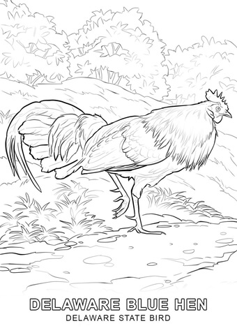 Delaware State Bird Coloring page