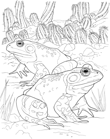 Desert Toads Coloring page