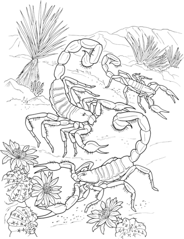 Desert Scorpions Coloring page