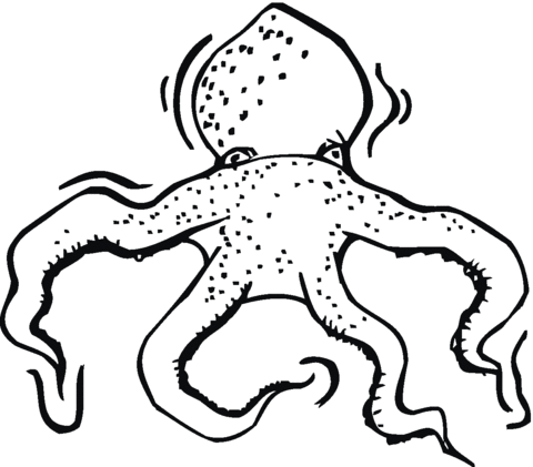 Octopus 3 Coloring page