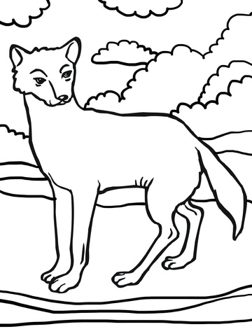 Dingo Dog Coloring page