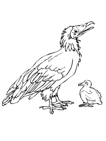 Dodo Bird with Chick Coloring page