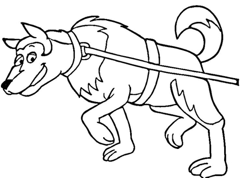 Dog Sled Coloring page