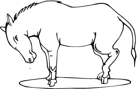 Stubborn Donkey Coloring page