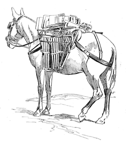 Donkey 5 Coloring page