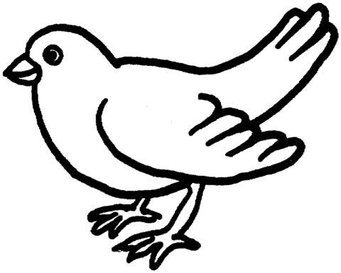 Backyard dove Coloring page