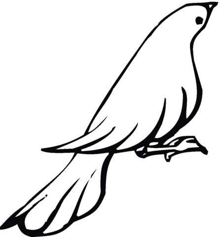 Mourning dove Coloring page