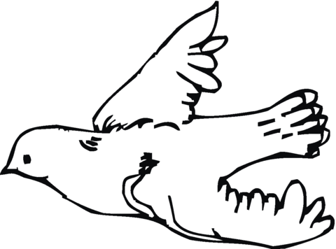 Flying Dove Coloring page