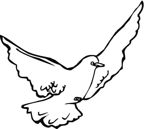 Dove bird Coloring page