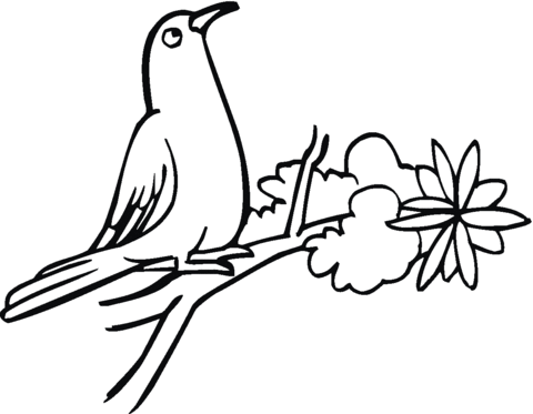 Dove On A Tree Coloring page