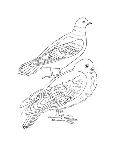 Doves Coloring page