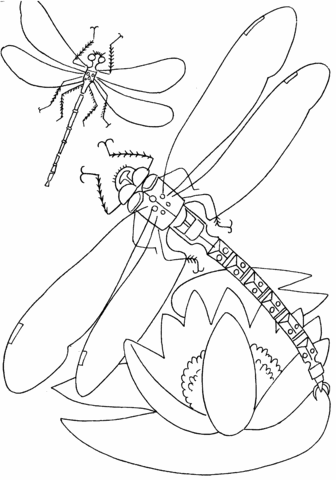 Dragonfly Above The Flower Coloring page
