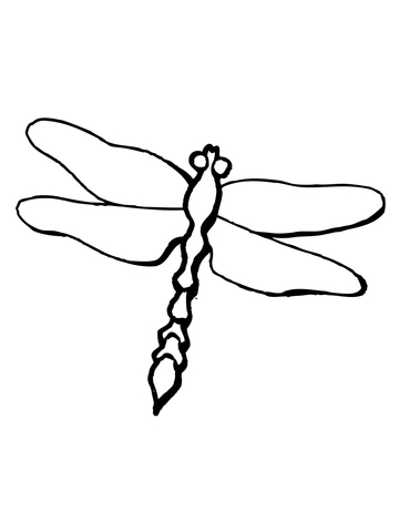 Dragonfly Odonta Epiprocta Coloring page