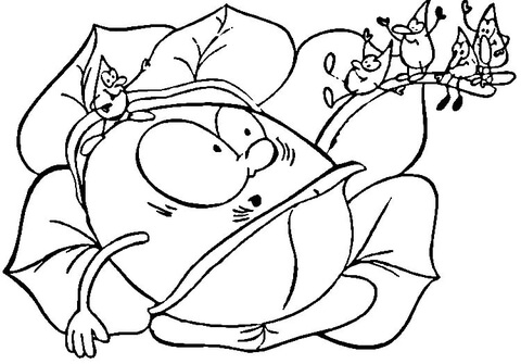 Drops on the Cabbage  Coloring page