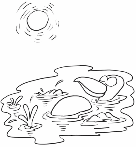 Duck Swim In Pond Under The Sun Coloring page