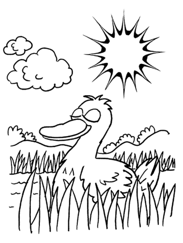 Duck in a pond Coloring page