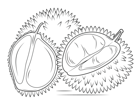Whole and sliced durian Coloring page