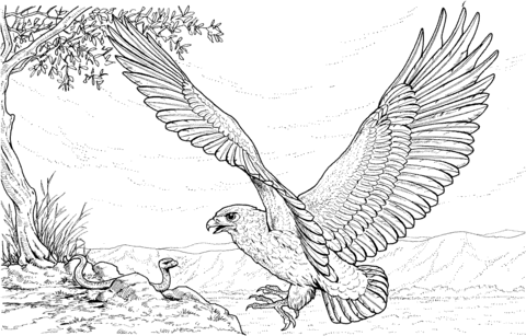 Eagle Attacking Snake Coloring page