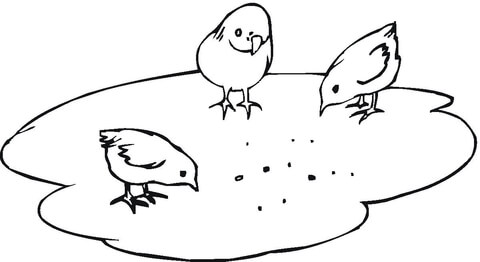Easter Chicks Coloring page