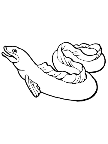 Eel Coloring page
