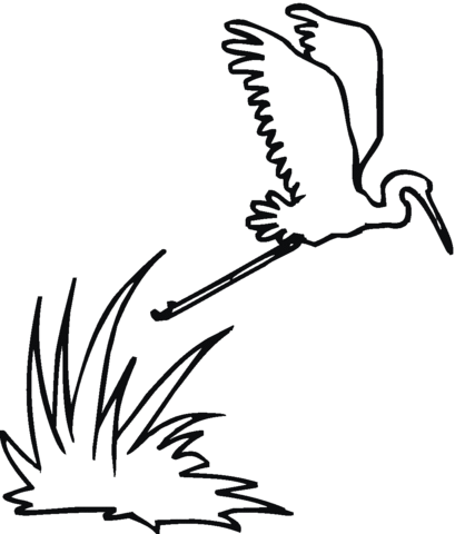Flying Egret Coloring page