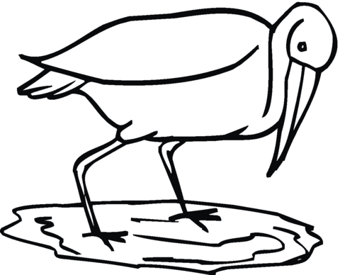 Heron is fishing Coloring page