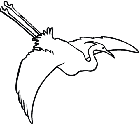 Egret Is Flying Coloring page