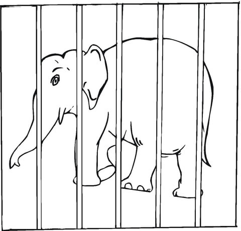 Elephant Is Locked in a Cage Coloring page