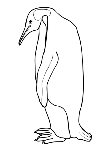 Emperor Penguin Coloring page