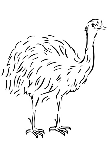 Emu Flightless Bird Coloring page
