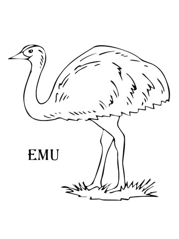 Emu Coloring page