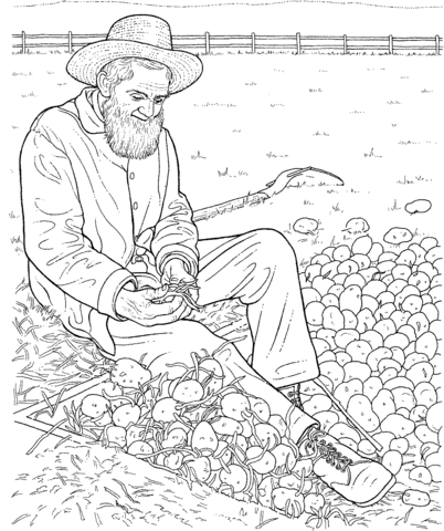 Farmer Gathering Potatoes Coloring page
