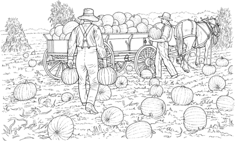 Farmers Gather the Harvest from Pumpkins Field Coloring page