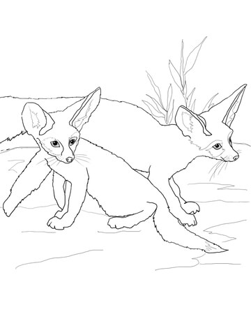 Fennec Fox Babies Coloring page