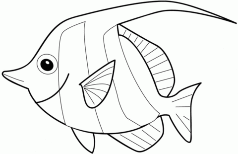 Angelfish Coloring page