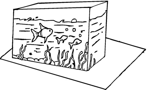 Fish in the Tank  Coloring page