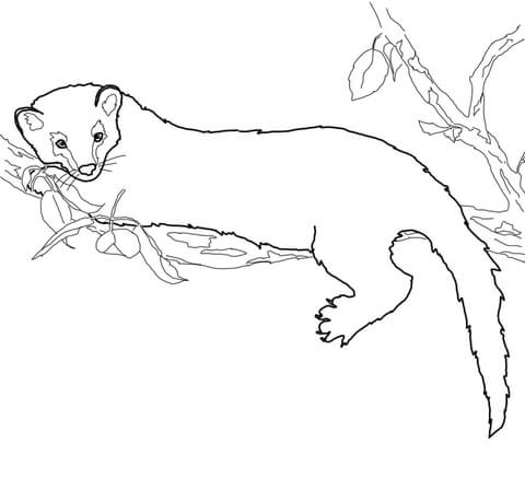 Fisher Coloring page