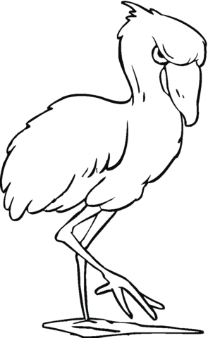 Young Flamingo Coloring page