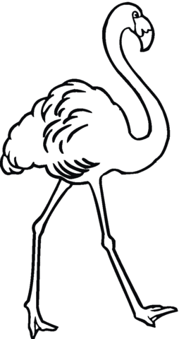 Flamingo stepping Coloring page