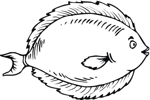 Flounder 3 Coloring page