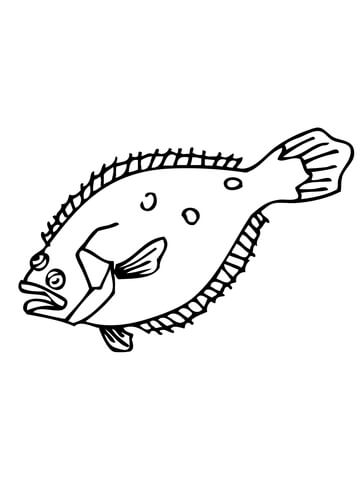 Flounder Coloring page