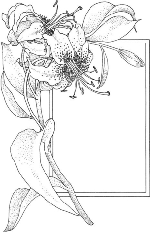 Flower And The Frame  Coloring page
