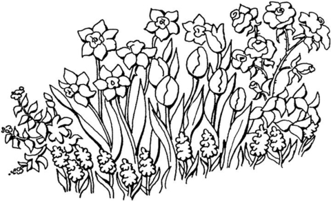 Flowers In The Garden  Coloring page