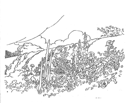 Mountain plants Coloring page