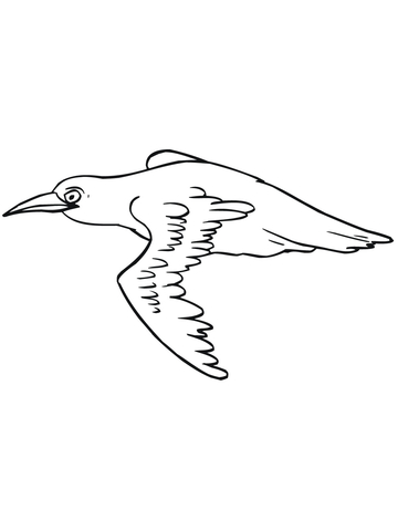 Flying Blackbird Coloring page