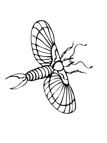 Flying Earwig Coloring page