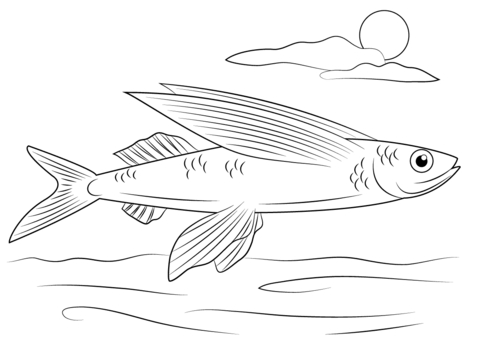 Flying Fish Coloring page