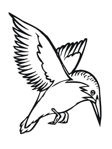 Flying Kingfisher Coloring page