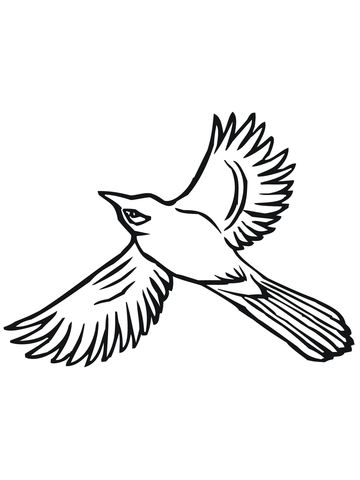 Flying Magpie Coloring page