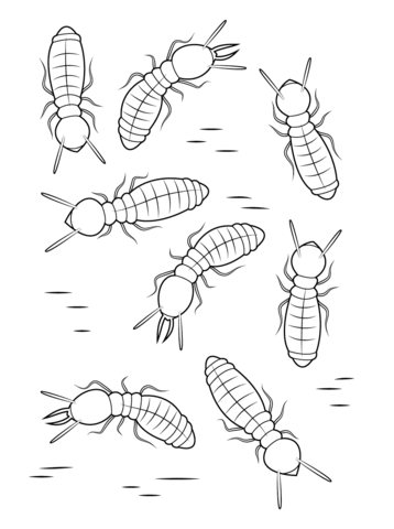 Formosan Subterranean Termites Coloring page